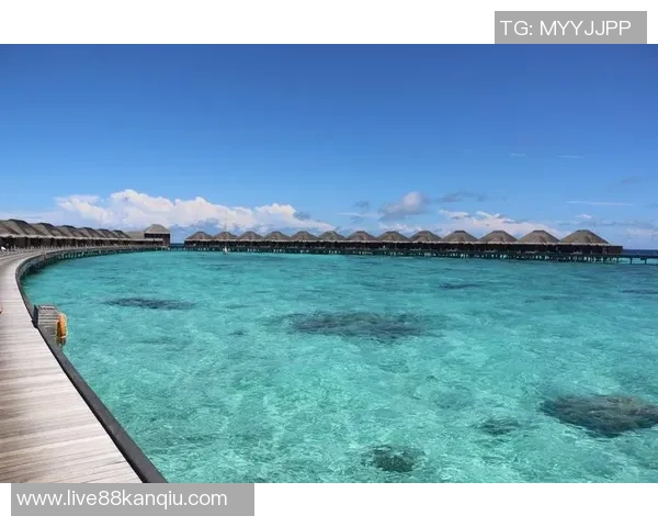 中国对阵马尔代夫在线直播全程回顾与精彩瞬间分析